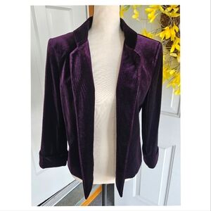 TAHARI ASL Velvet Blazer, Size 10